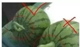 51吃瓜在线吃瓜,揭秘娱乐圈幕后故事，带你畅游吃瓜盛宴